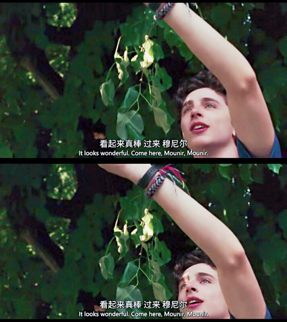 请以你的名字呼唤我 甜茶 自截调色背景图 壁纸