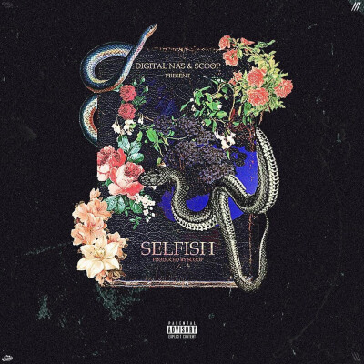 Digital Nas-Selfish