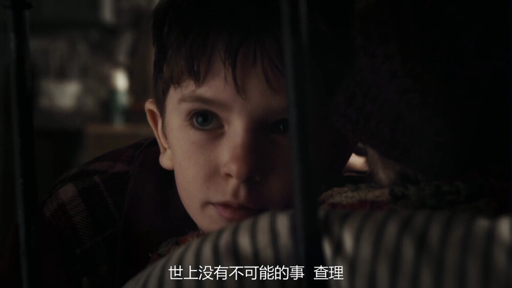 #查理和巧克力工厂##海默##弗莱迪海默##Freddie Highmore#