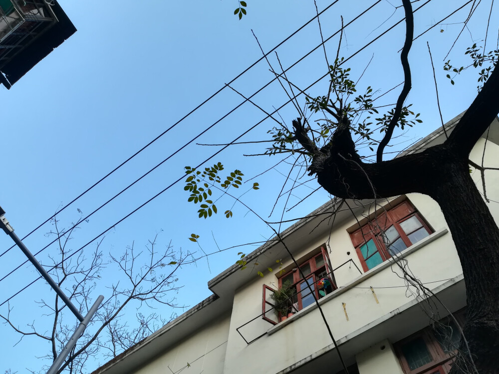 培正路