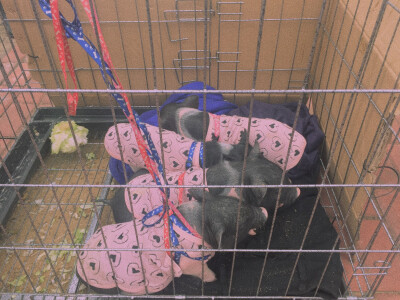 壁纸头像
火山岛