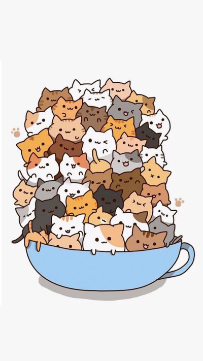 猫咪
