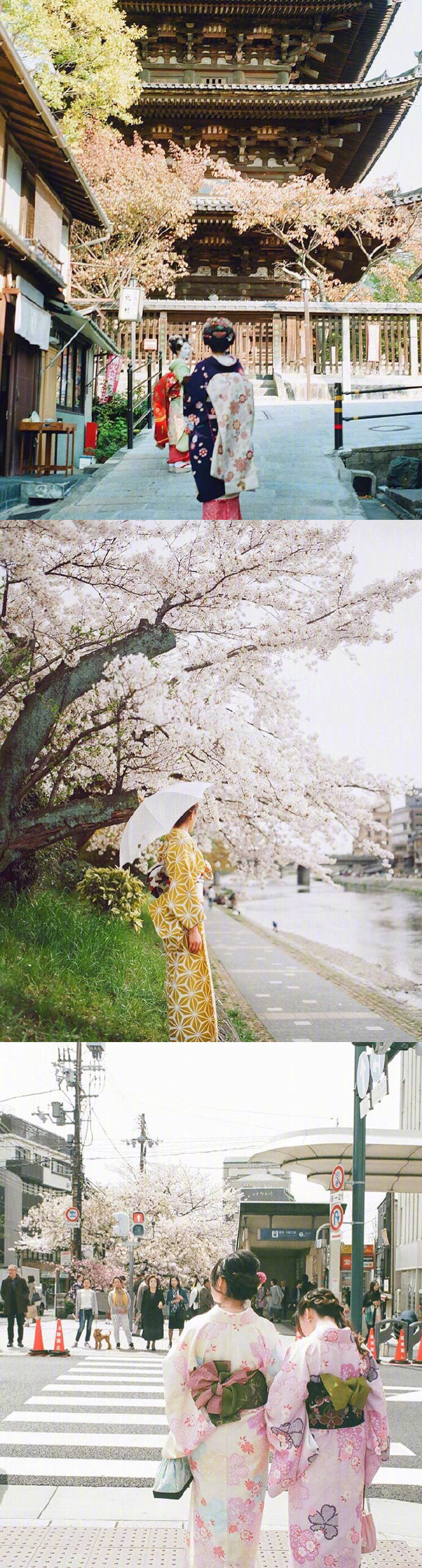 日本风景照，日本街拍照