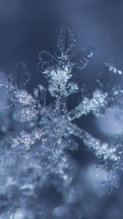 梵净山雪景