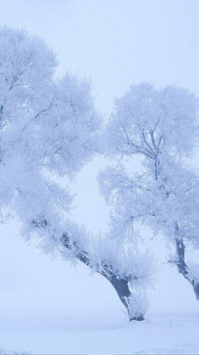 梵净山雪景