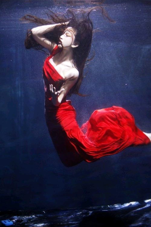 素锦 真人 底图
仅搬运侵删
@维庸