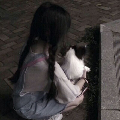 二传注明堆糖负灾