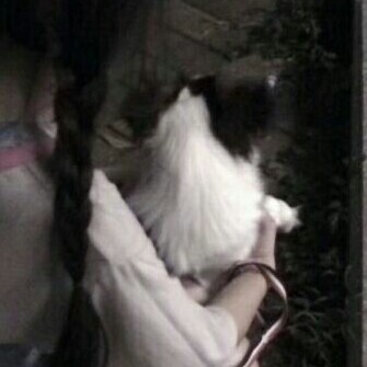 二传注明堆糖负灾