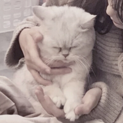 二传注明堆糖负灾