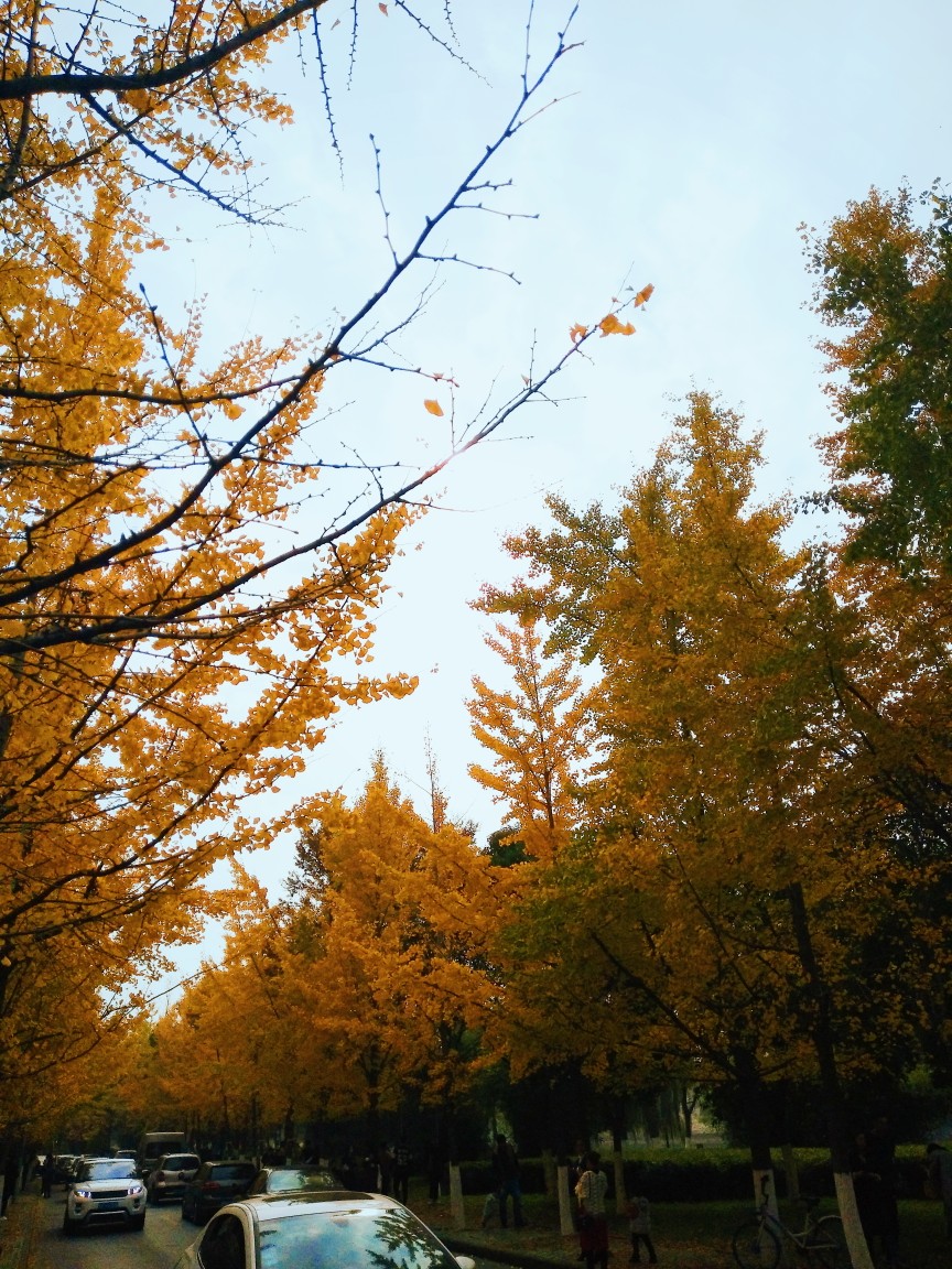 三塔路