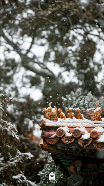 紫禁城【己亥•初雪】“雪飞寒锐。唯有青松在。春不加荣寒不悴。舍如公都耐。流肪磊硌龟蛇。会留红日西斜。欲助我公寿骨，蟠桃等见开花” 照片取自@故宫博物院