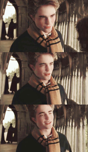 哈利波特与火焰杯
塞德里克 
第一眼就喜欢的级长