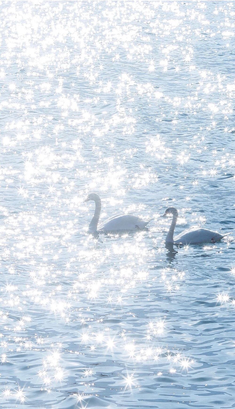 壁纸 头像 背景
