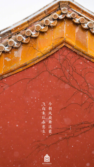 紫禁城【己亥?初雪】“今朝風(fēng)庭舞流霰，飛白朱紅春意生” 照片文字取自@故宮博物院