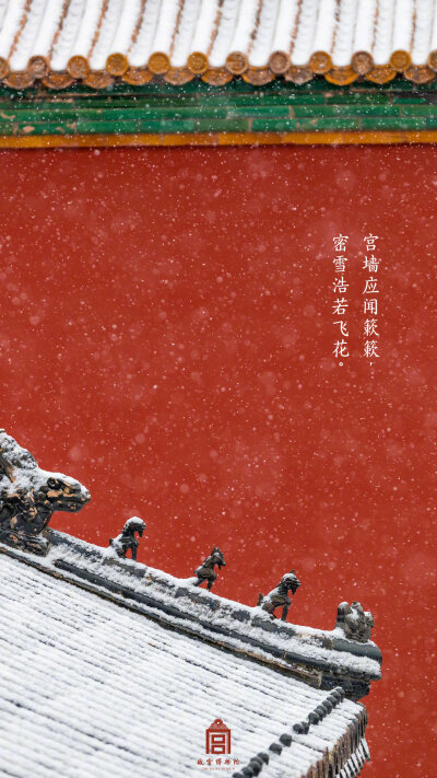 紫禁城【己亥•初雪】“宫墙应闻簌簌，密雪浩若飞花” 照片文字取自@故宫博物院