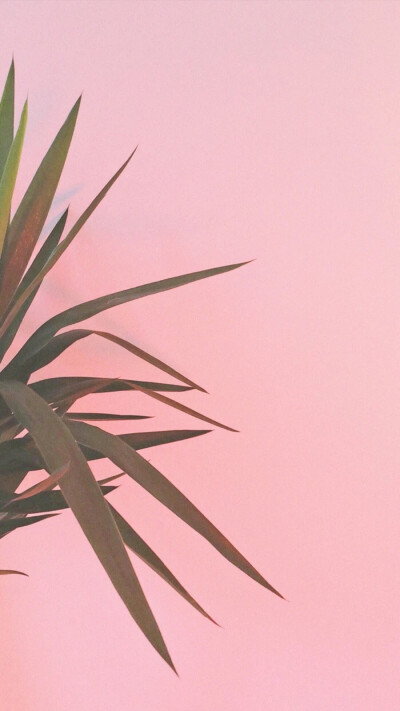 少女心 壁纸 背景图