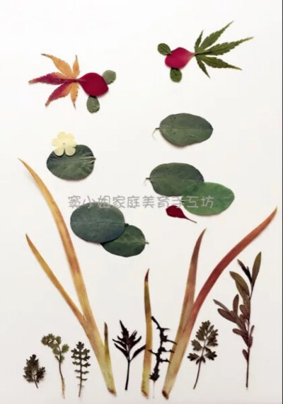 树叶画
