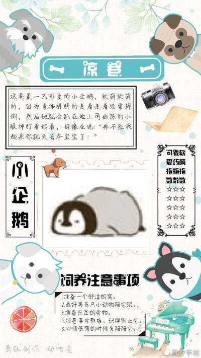 小猫er给我写的动物鉴