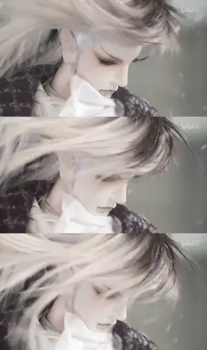 花信风 堆糖 美图壁纸兴趣社区