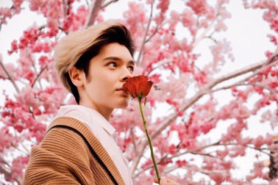 flower boy 