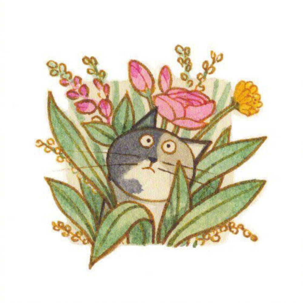 拿来主义，感谢微博原po