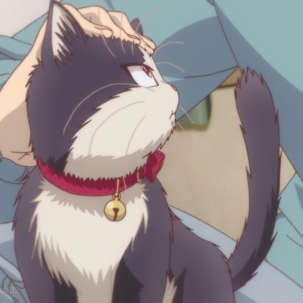 同居人是猫#情侣头像赞评论4更多所有评论你也来说些什么吧
