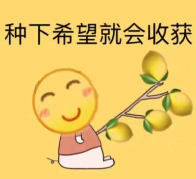 柠檬精/酸表情包，为明天做准备系列。