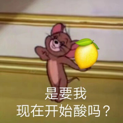 柠檬精/酸表情包，为明天做准备系列。