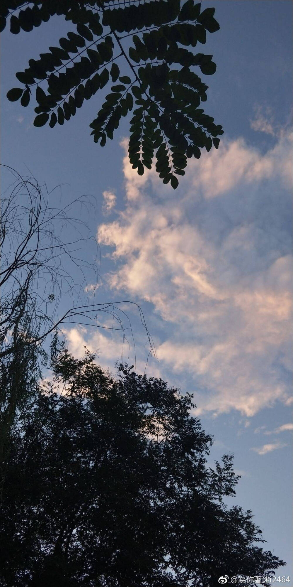 二传注明沈清婉