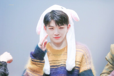 Seventeen WOOZI 李知勋