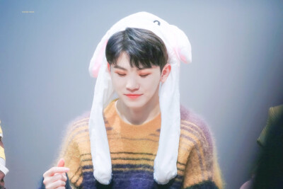 Seventeen WOOZI 李知勋