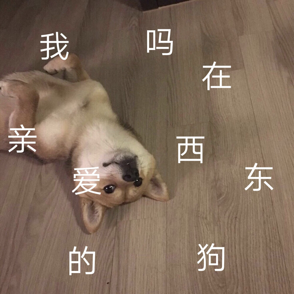 这张是比较简单的哦