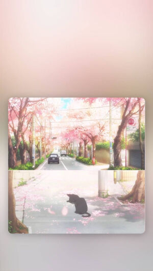 如梦幻泡影