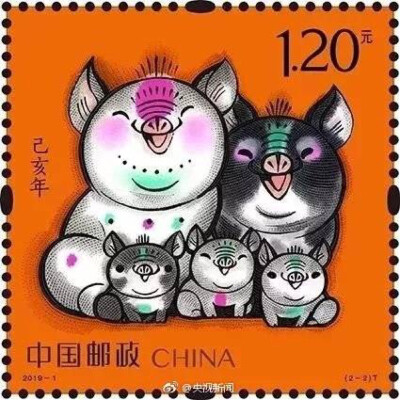 猪年