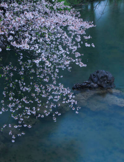  春山一入尋無路，鳥響煙深水滿溪
古風(fēng)背景