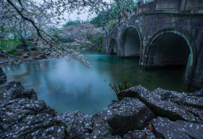  春山一入尋無路，鳥響煙深水滿溪
古風(fēng)背景