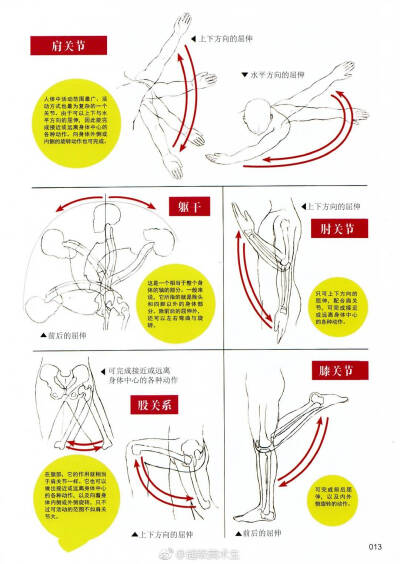 衣服褶皱 绘画教程 绘画技法