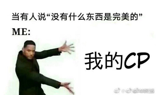 今天也是个快乐的CP粉