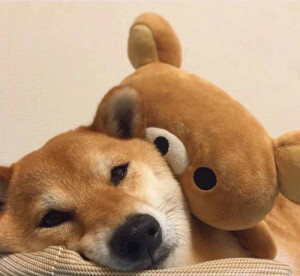 情侣头像 趣味 插画 动漫