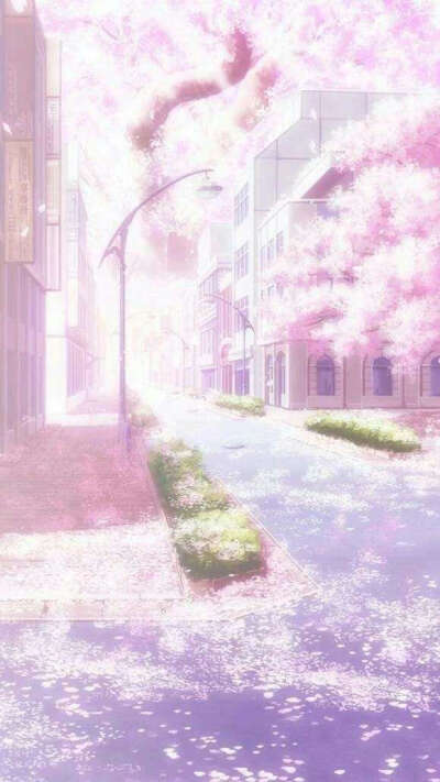 背景图.
愿喜♡