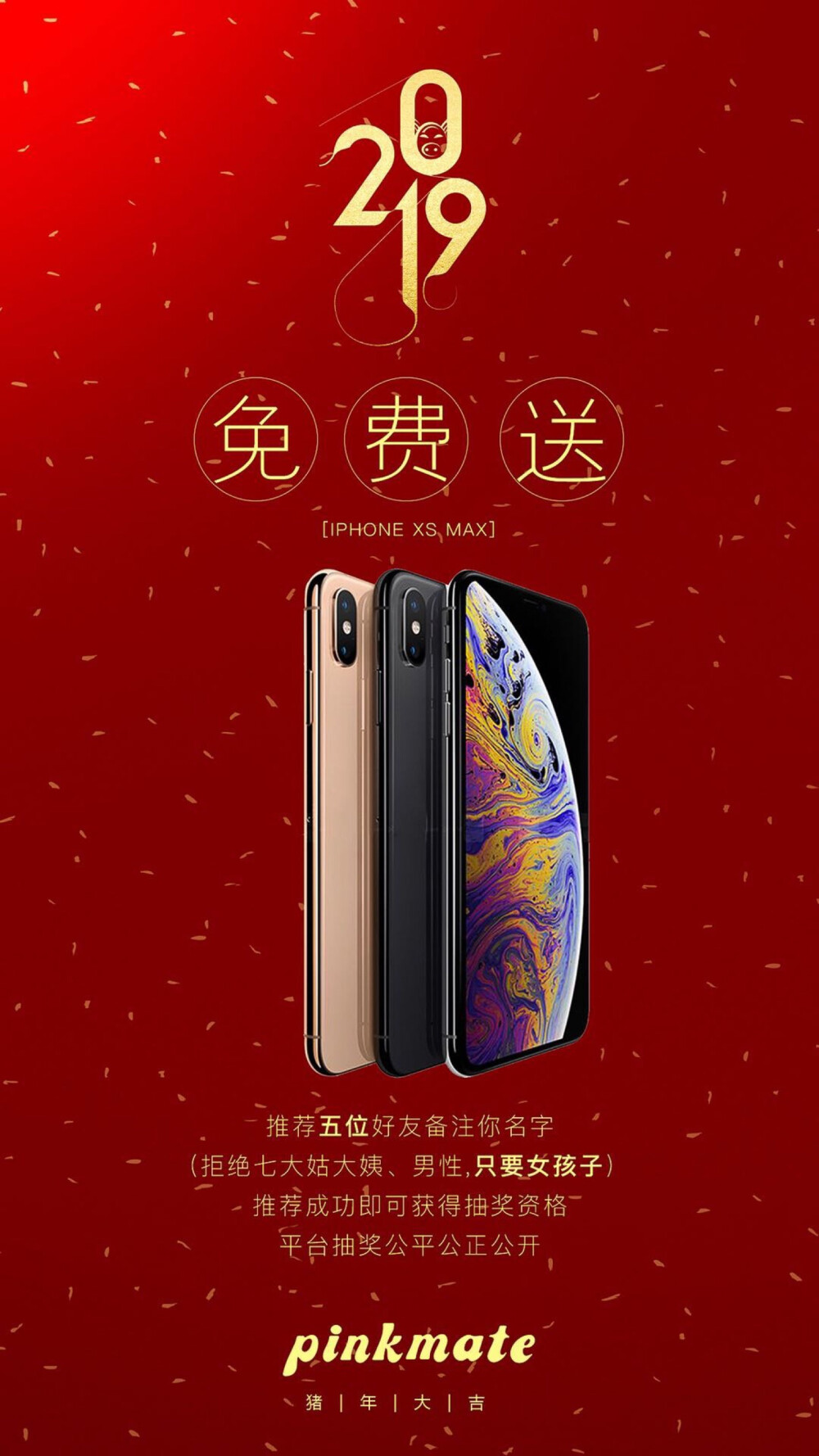 公司引流活动 推荐五个人(限女生)加我vx 即可参与