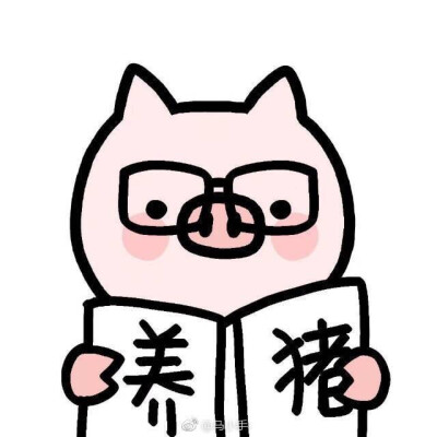 养猪