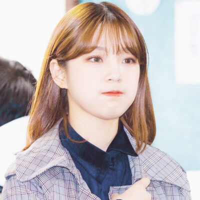 白知宪©Allison。