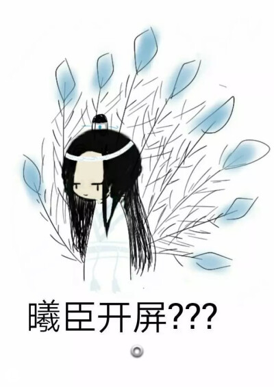 魔道祖师开屏