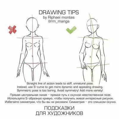 人体的正确画法