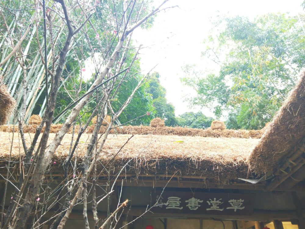 成都杜甫草堂街道楼群