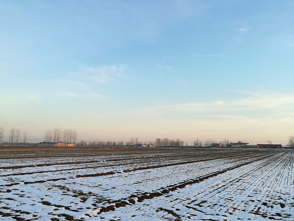 20190216正月十二一九年的初雪