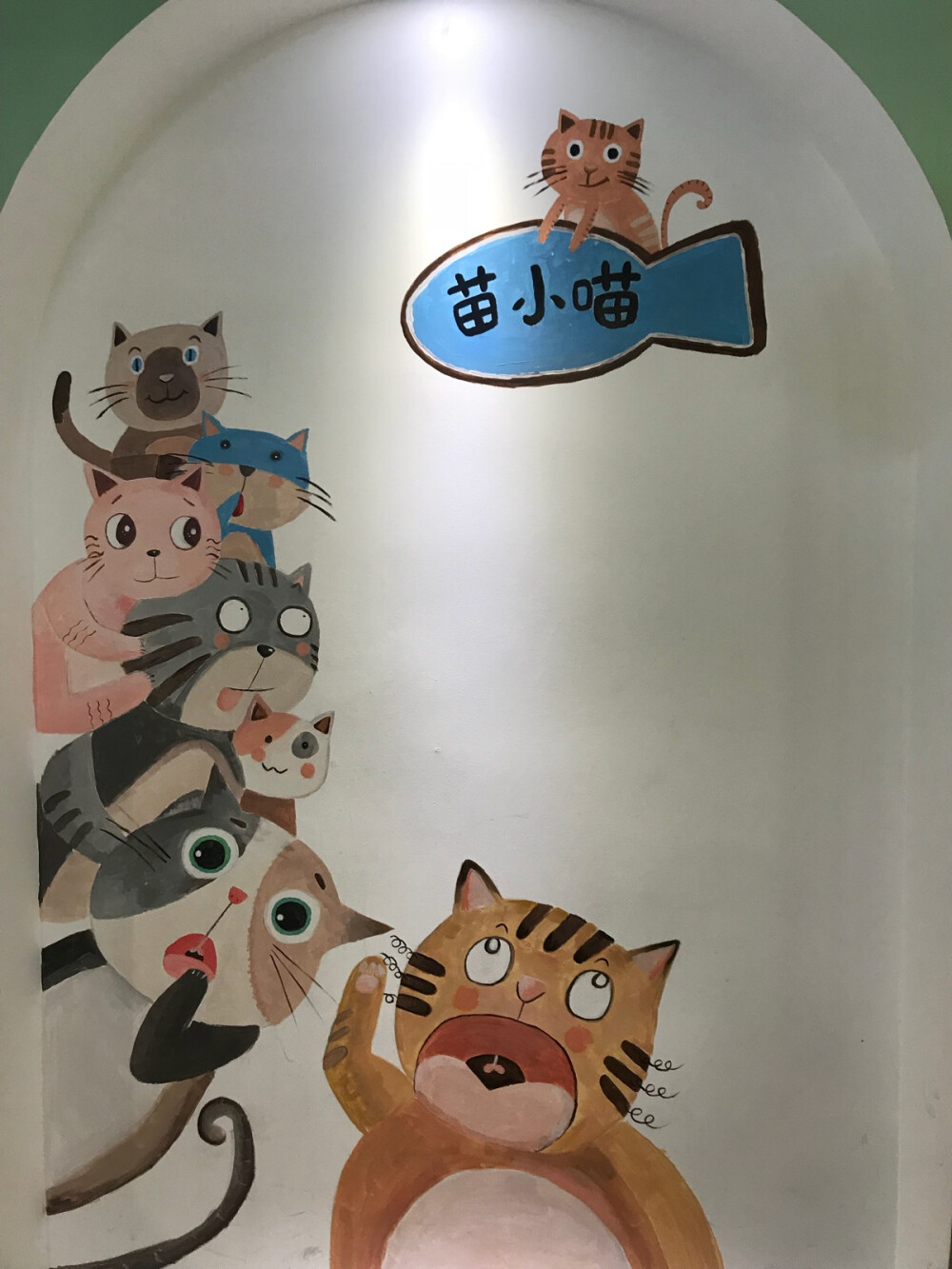 河源喵小猫咖啡店