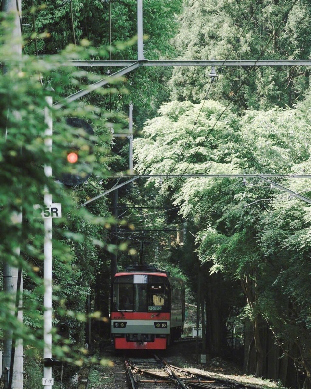 京都