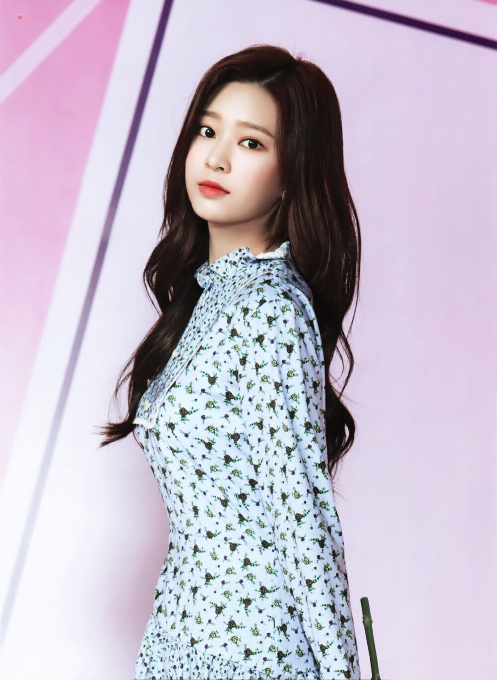 izone 金珉周 金纹周